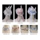 Mewroco Peacock Feather 3.0 JSK and SP JSK(Pre-Order/4 Colours/Full Payment Without Shipping)